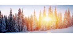 First%20united%20winter%20scene